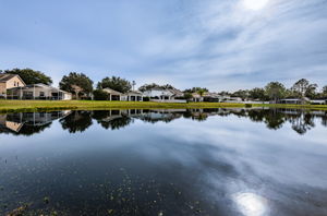 Water View3