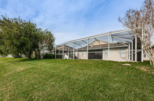 Backyard3