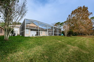 Backyard4