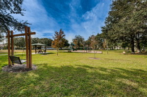 Park8