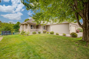 Front Yard