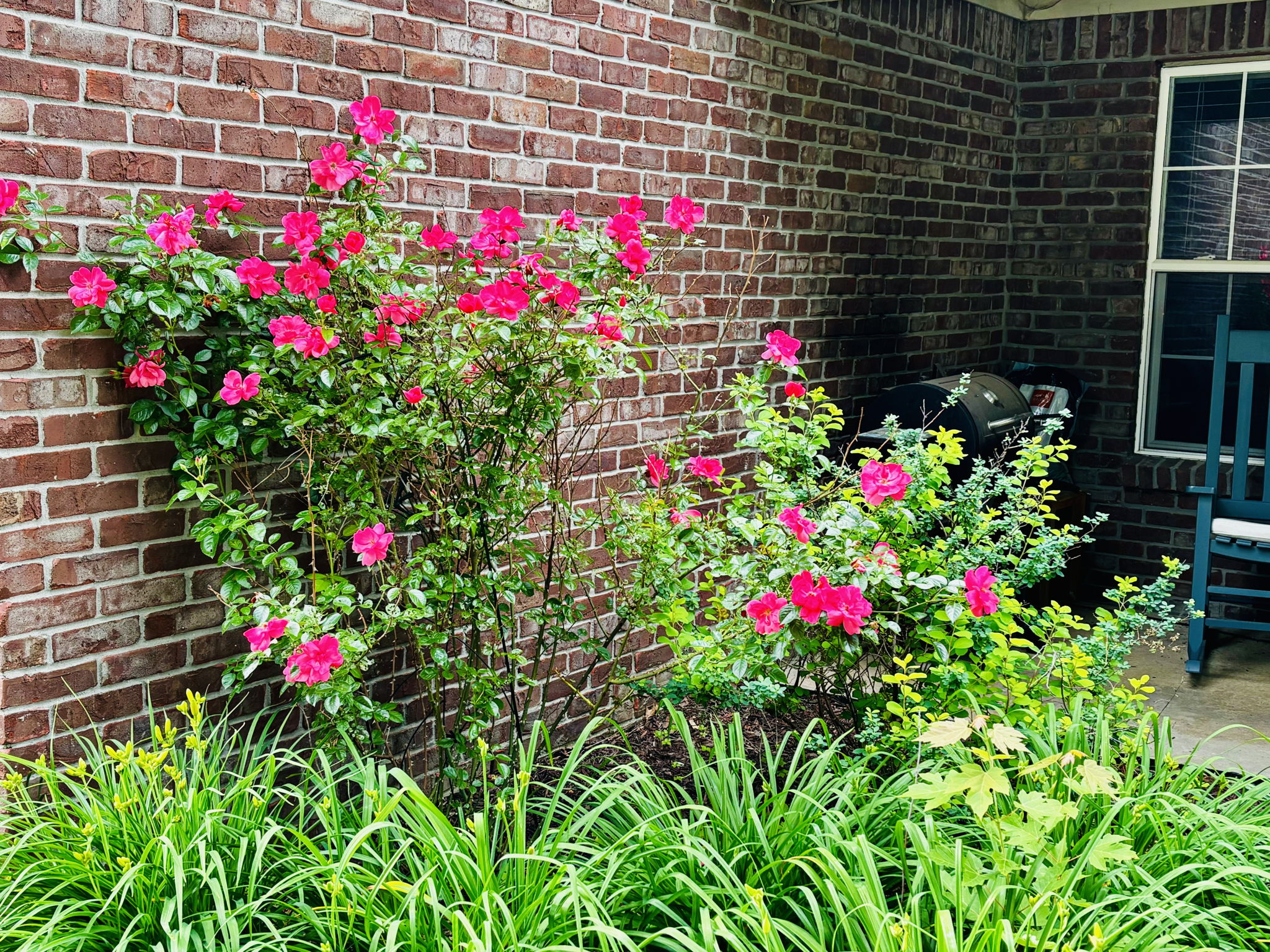  Photo 42