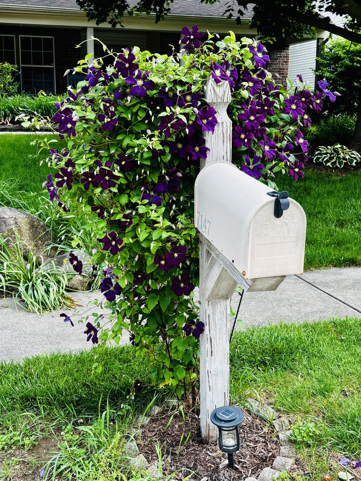  Photo 43