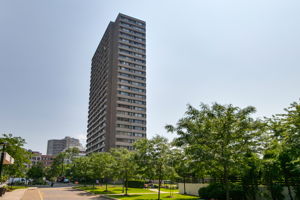  Photo 0