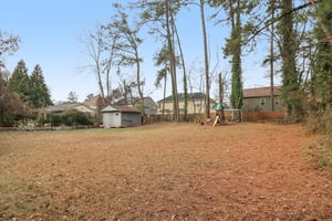 Carolina Rd-S0212-061.jpg