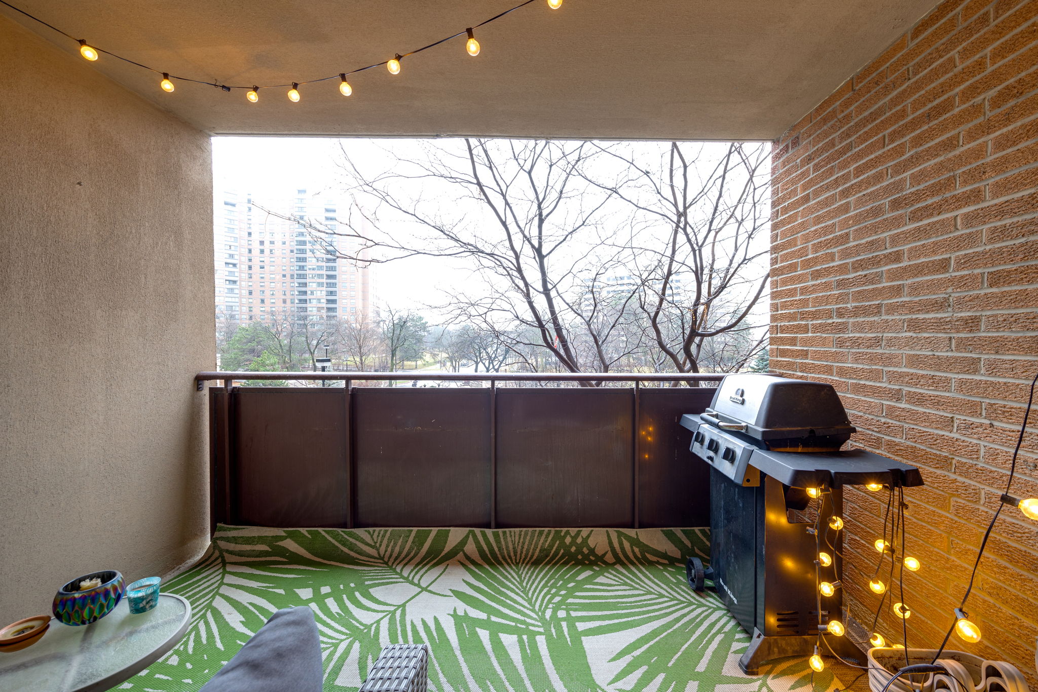 Toronto property showcase — delivered property photograph 41