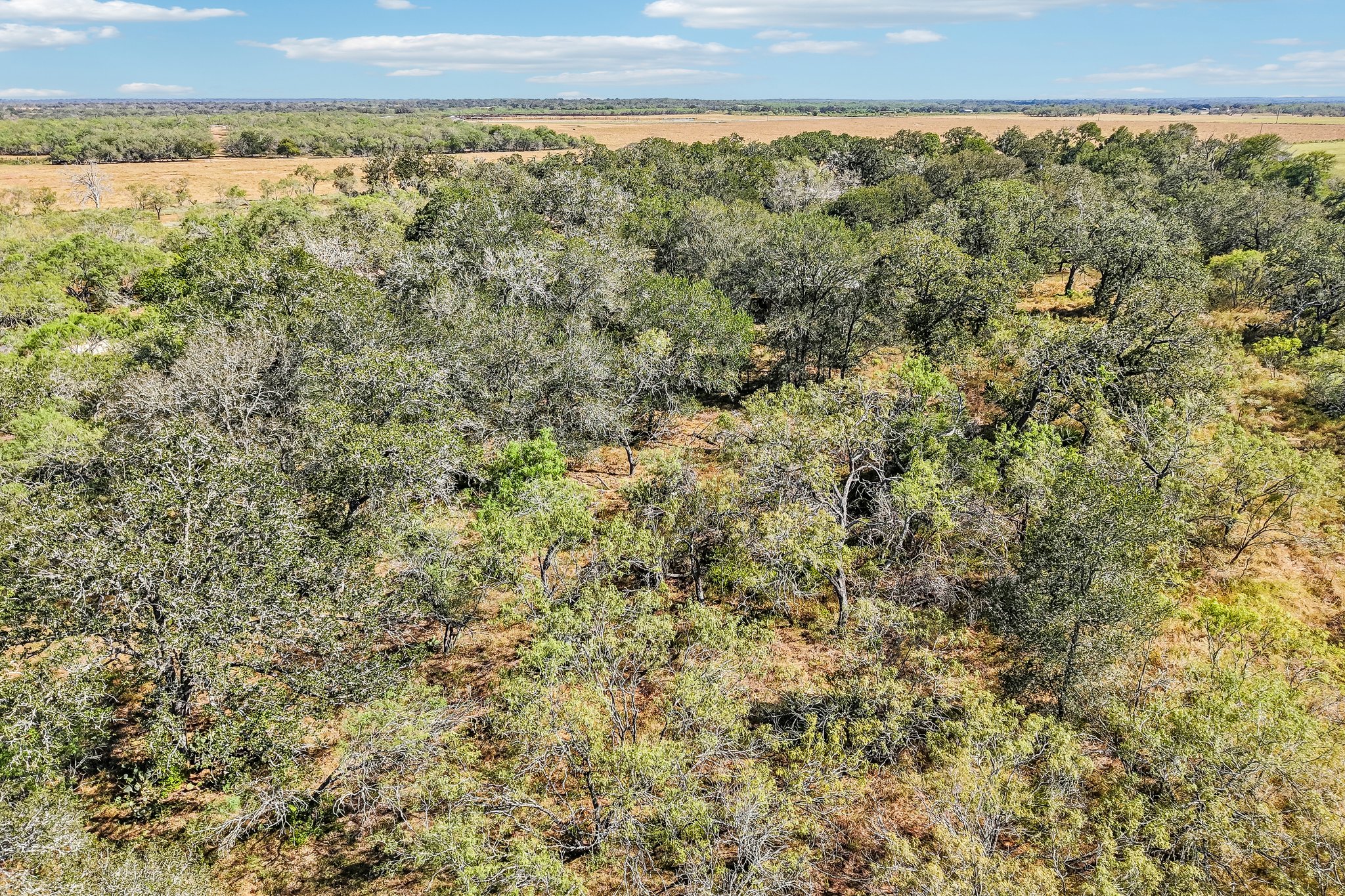 W County Rd 109-S0109-061.jpg