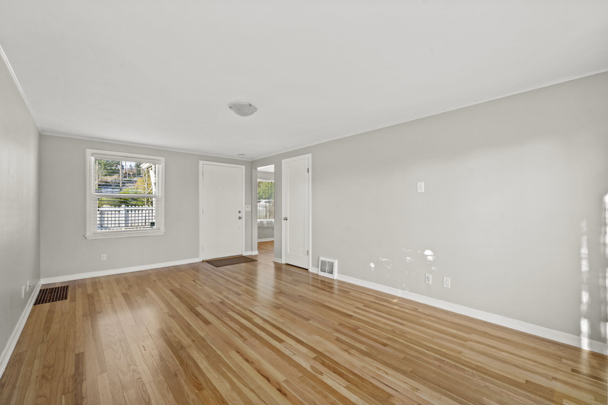 Living room full of natural light