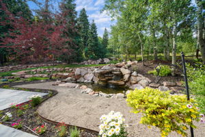  Photo 49