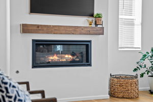 Fireplace Detail