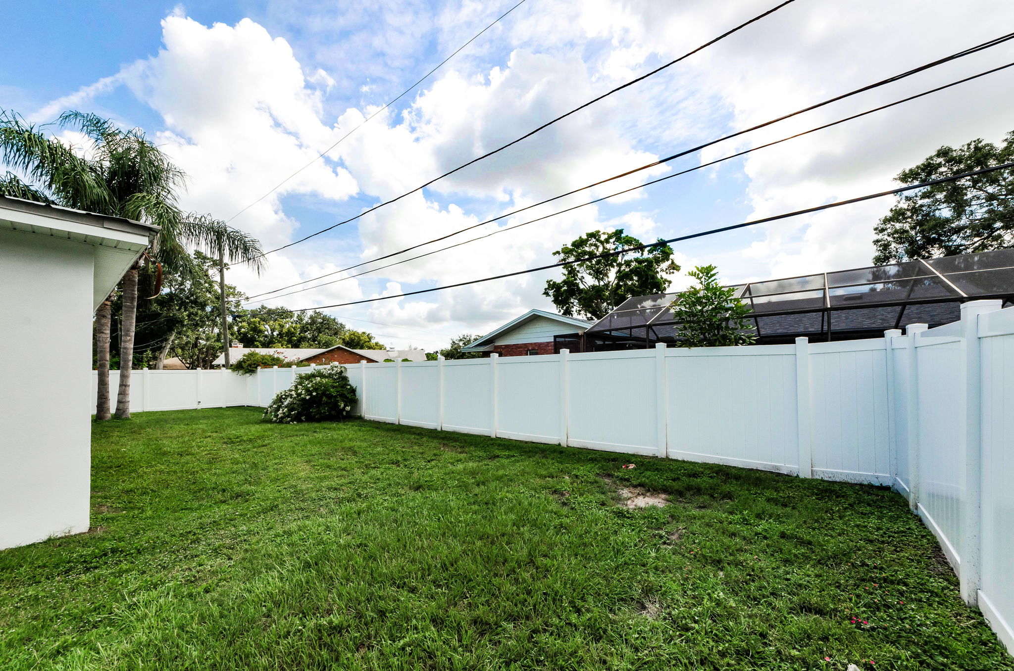 Backyard 4