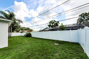 Backyard 4