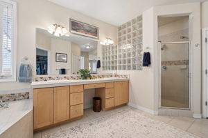 Main Level Primary Bathroom