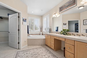 Main Level Primary Bathroom