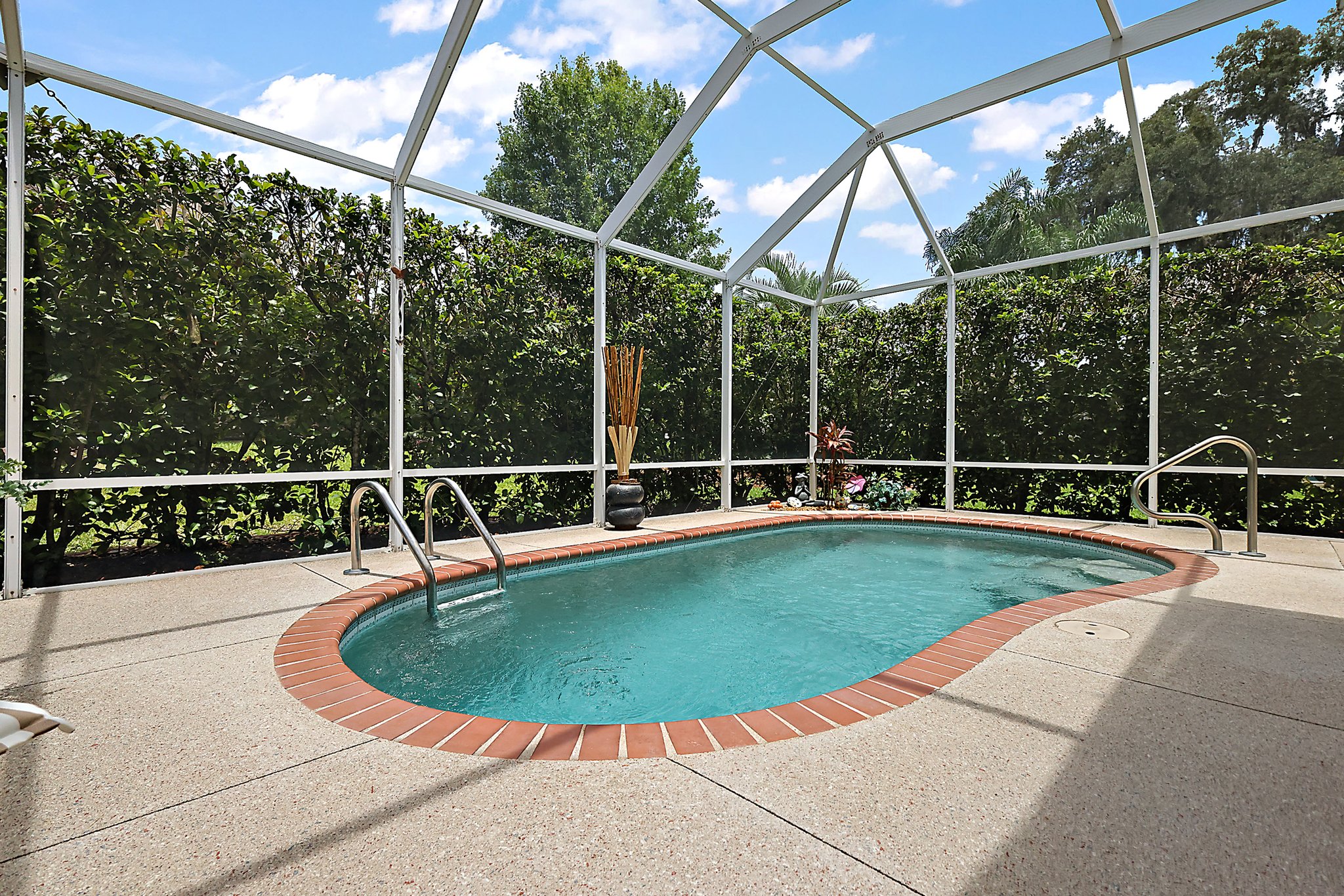 Swimming Pool with Privacy Hedging