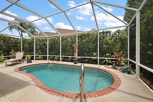 Swimming Pool with Privacy Hedging