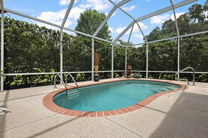 Swimming Pool with Privacy Hedging