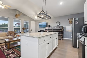 Chip Shot Cir-S2910-013.jpg