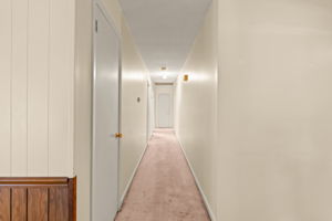untitled-20