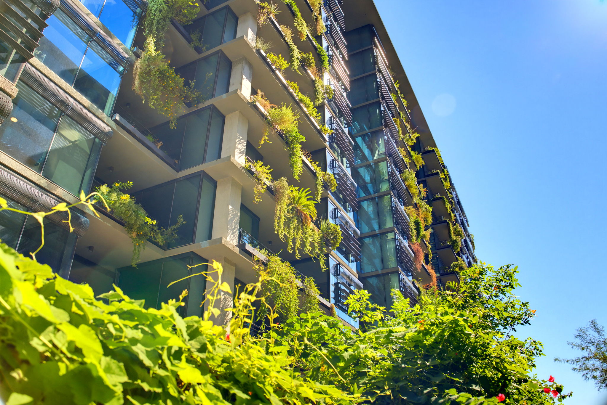 Building - Exterior Front