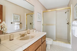 Brooktree Ct-S1808-040.jpg