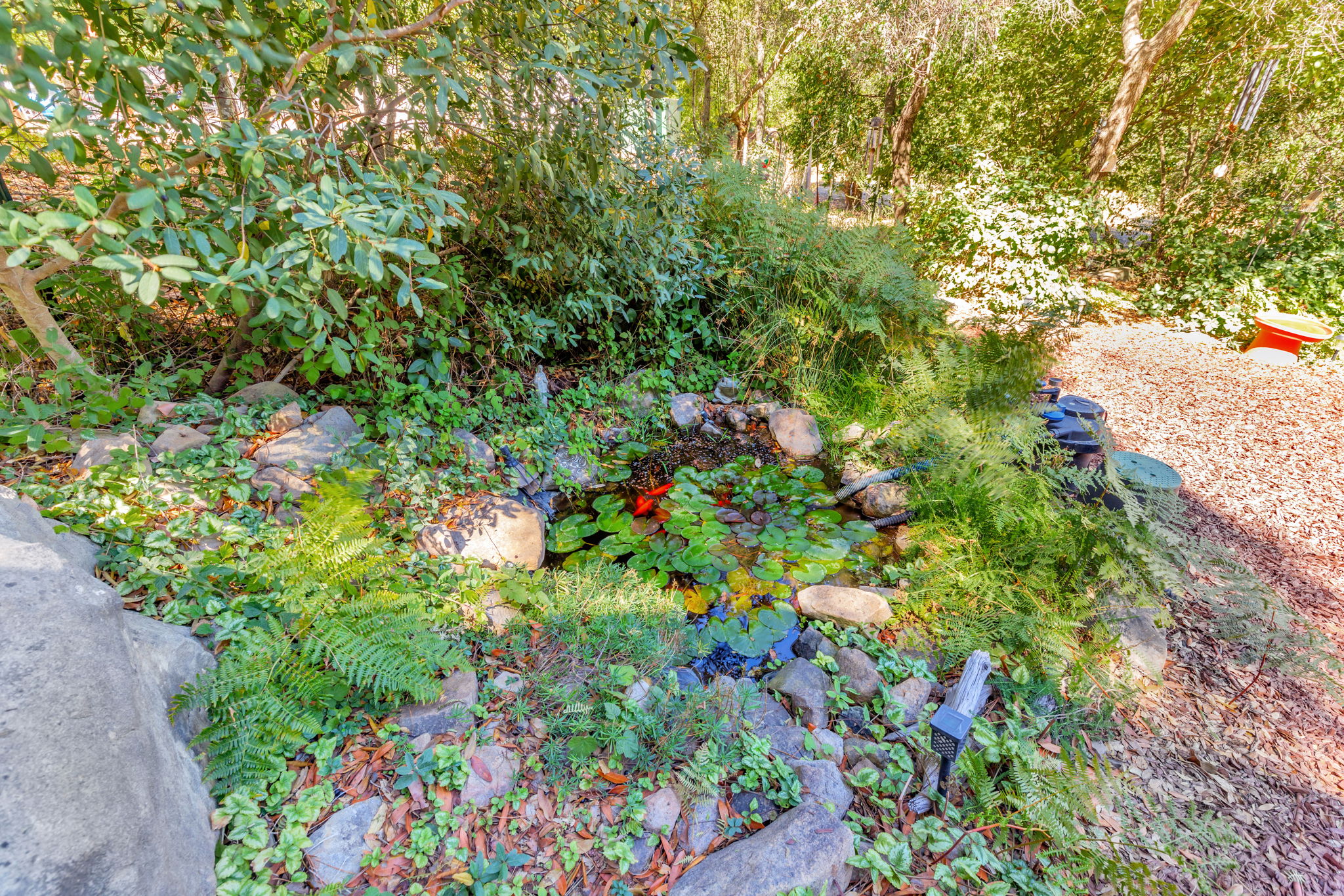  Photo 41