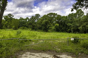  Photo 0