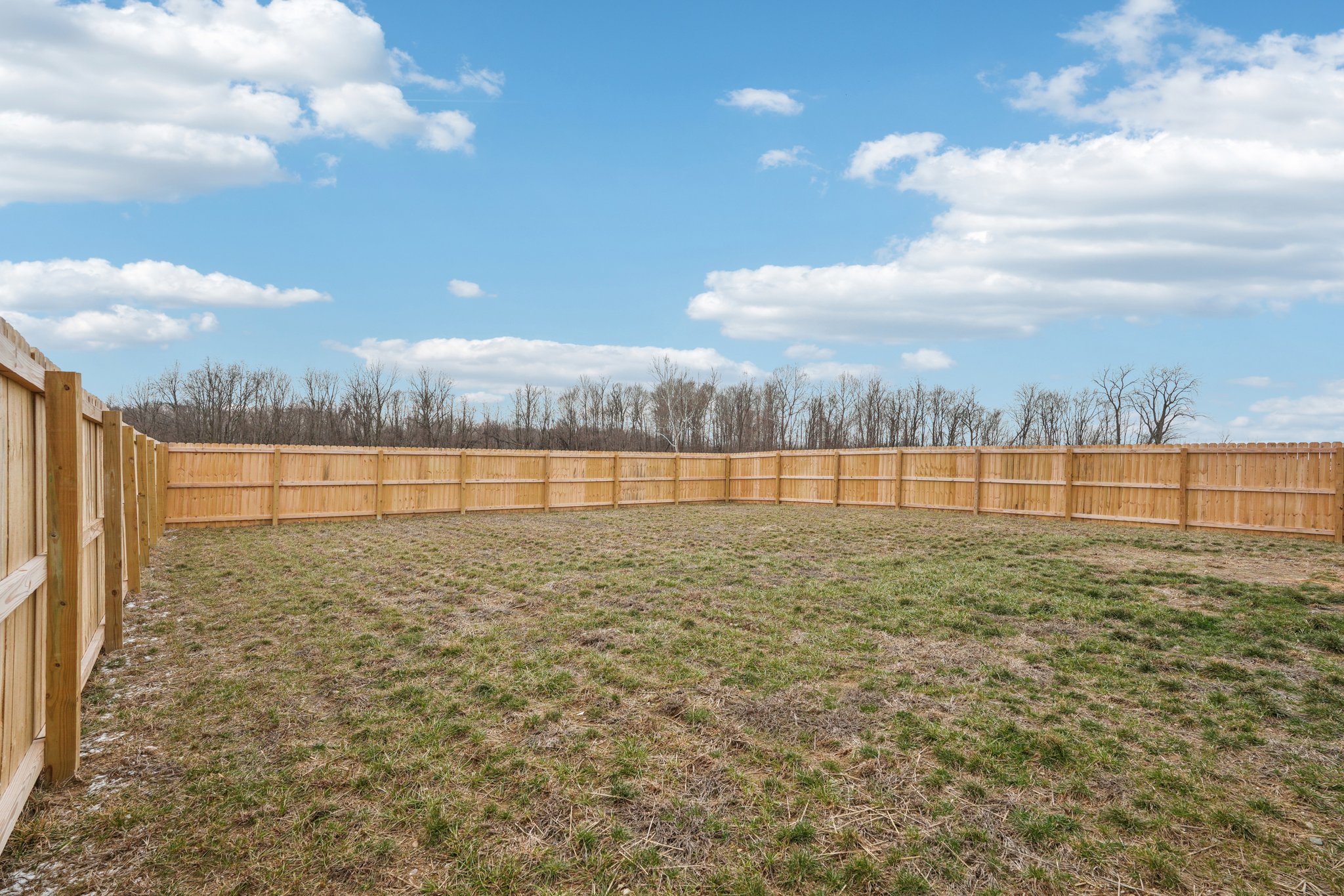 E Rising Sun Cir-S2502-052.jpg