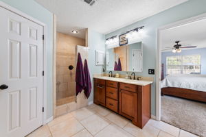 Primary Bathroom Shower and Vanity