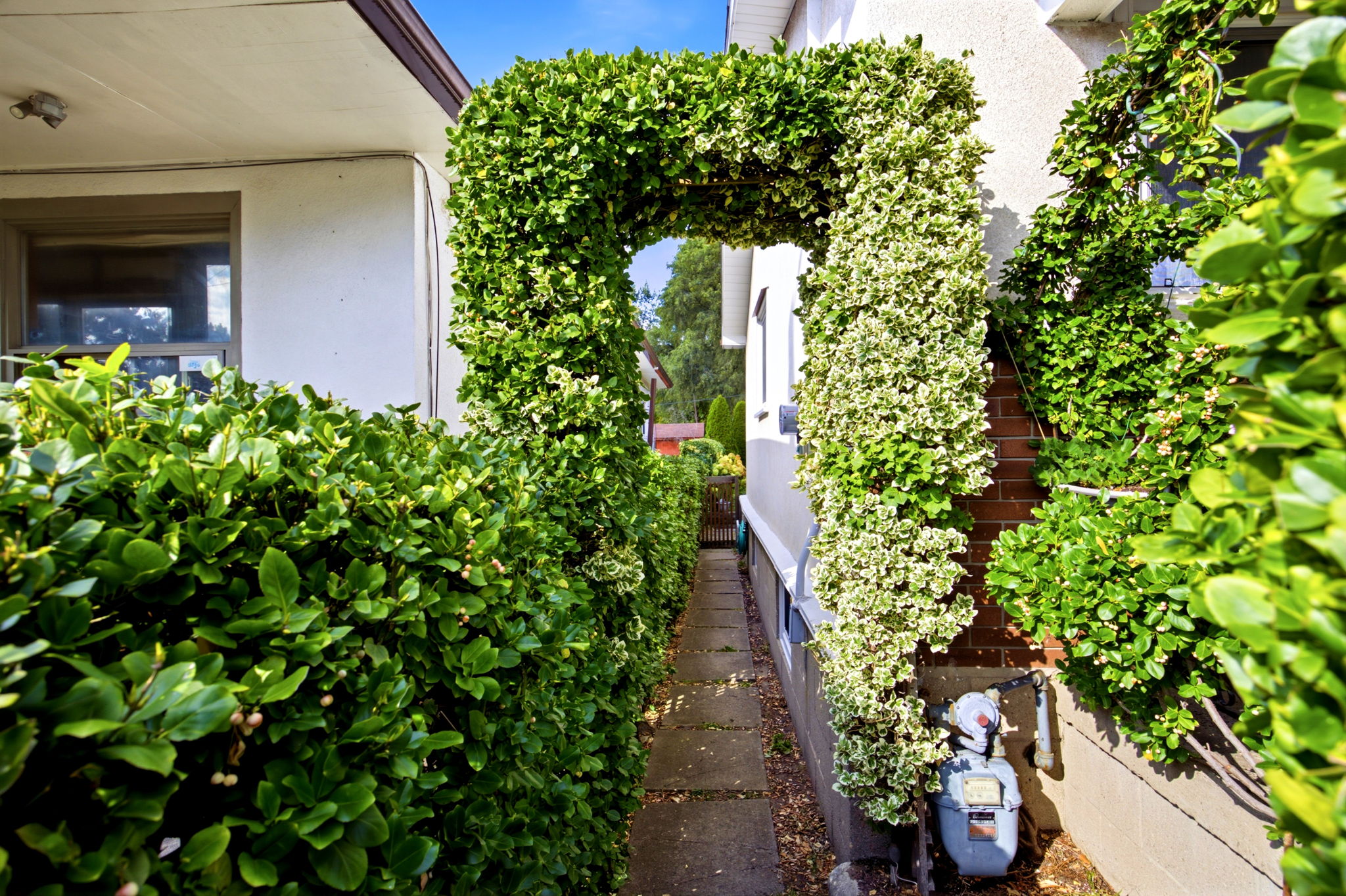  Photo 30