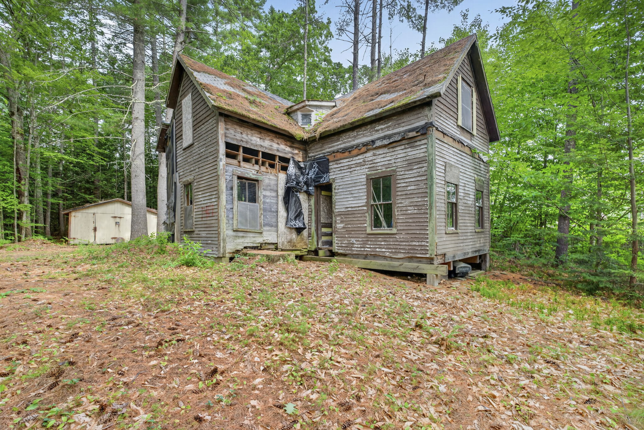  Photo 18