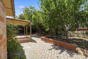 Photo 47