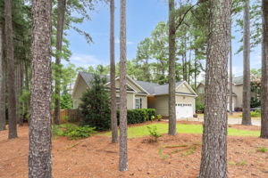 72 W Thicket Dr-3