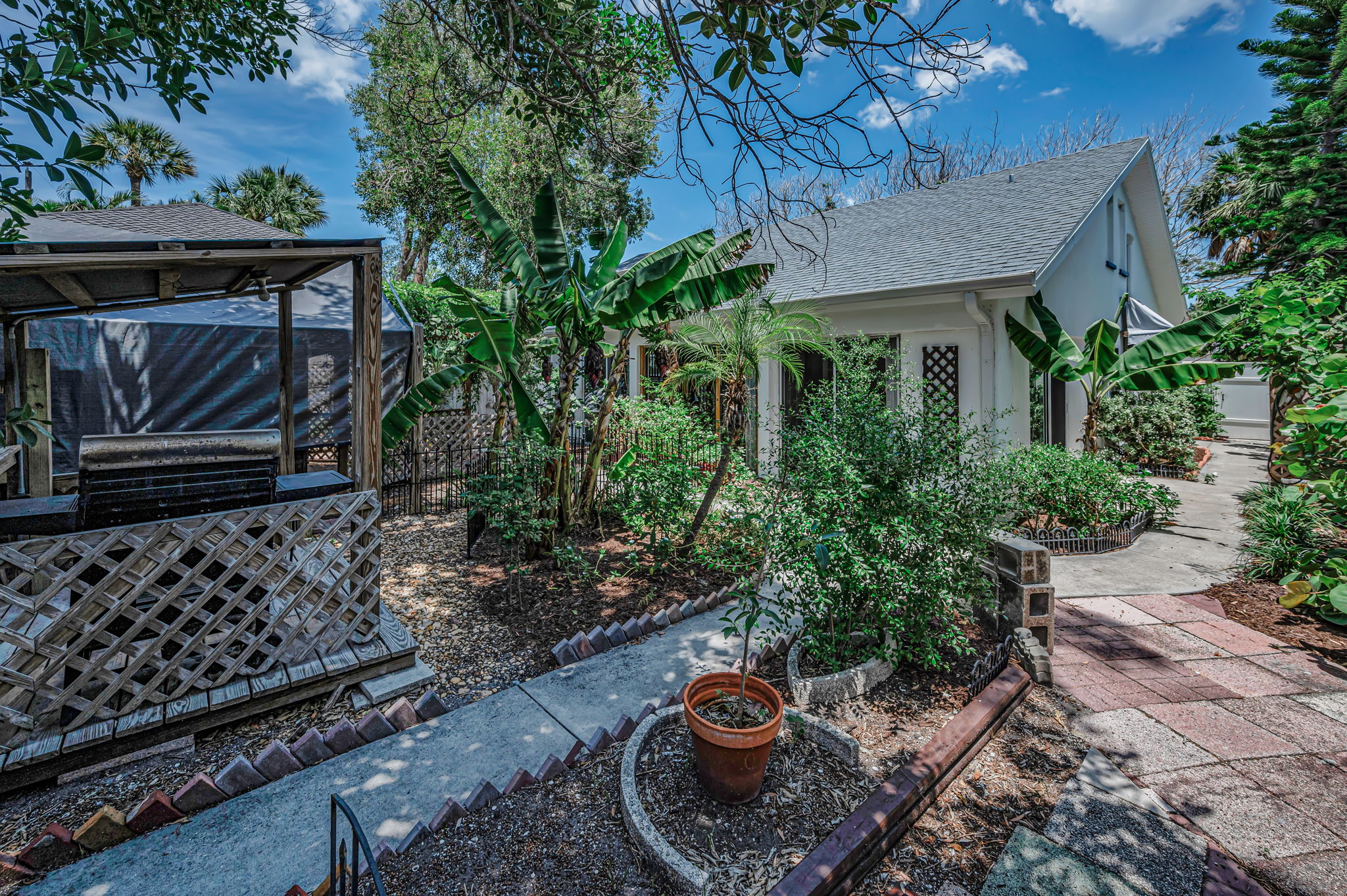 Backyard11