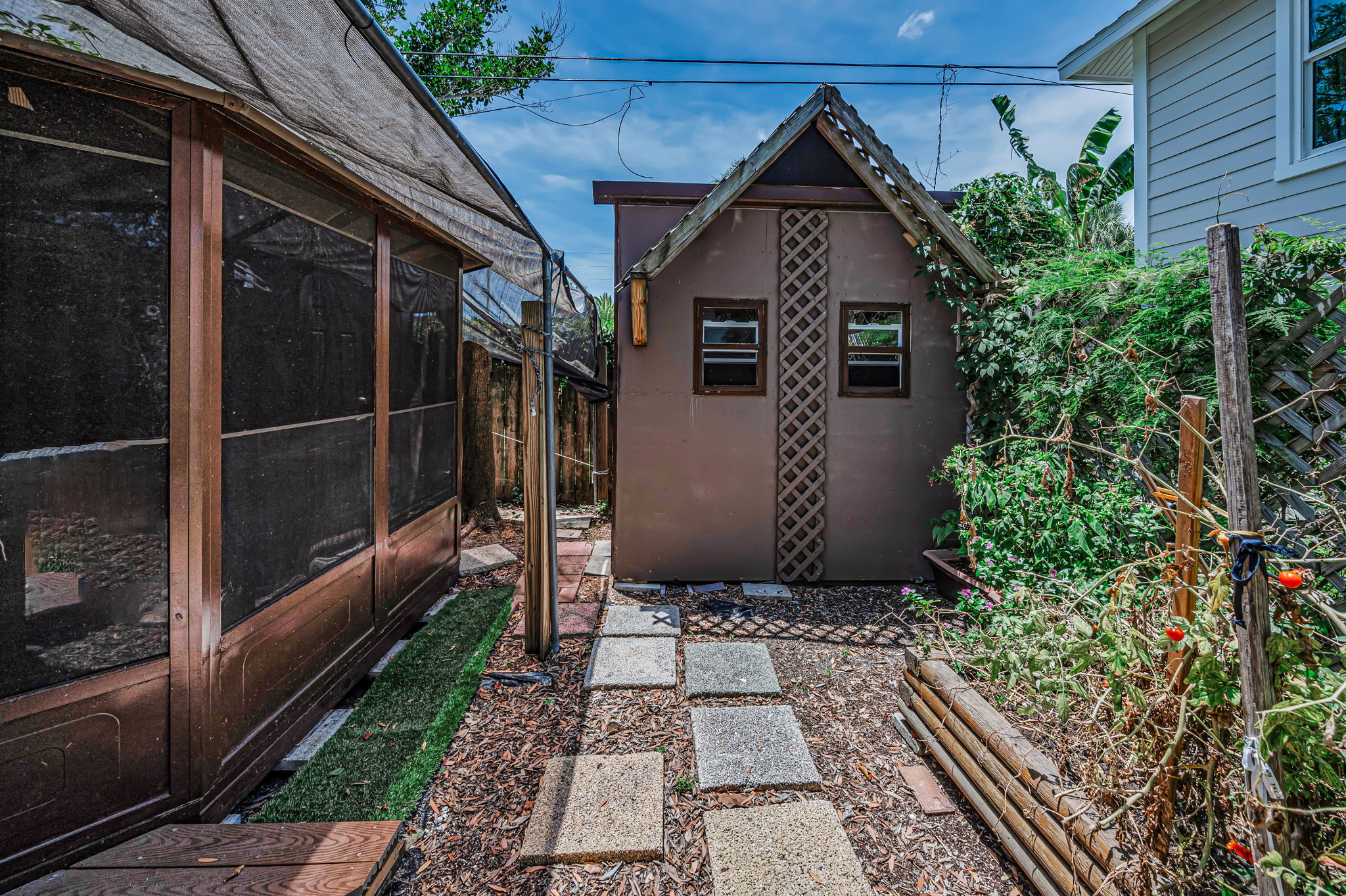 Backyard19