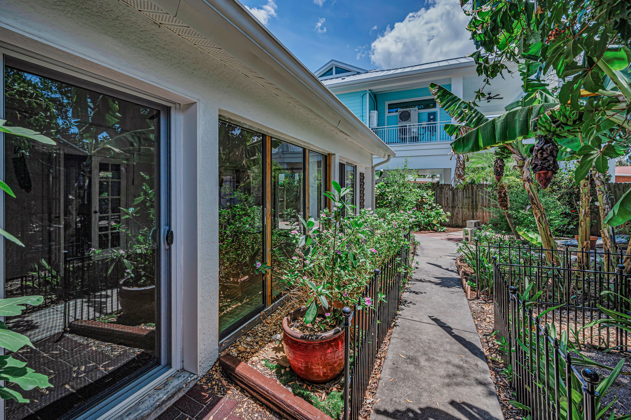 Backyard4