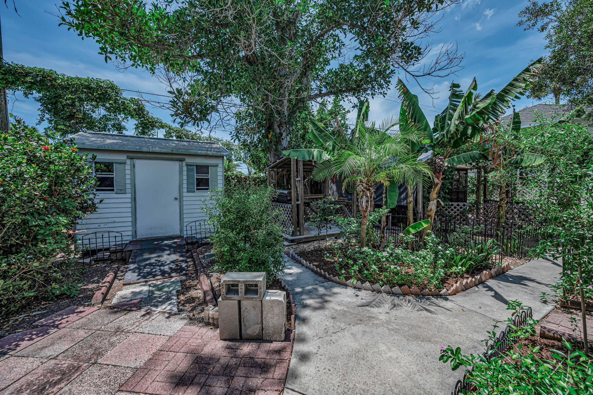 Backyard7