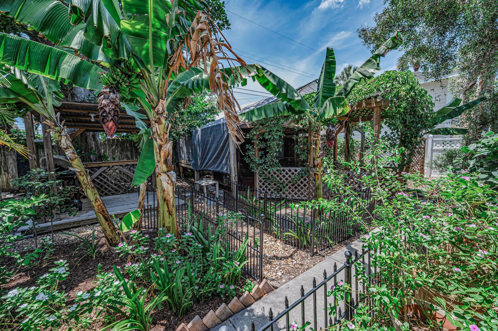 Backyard8