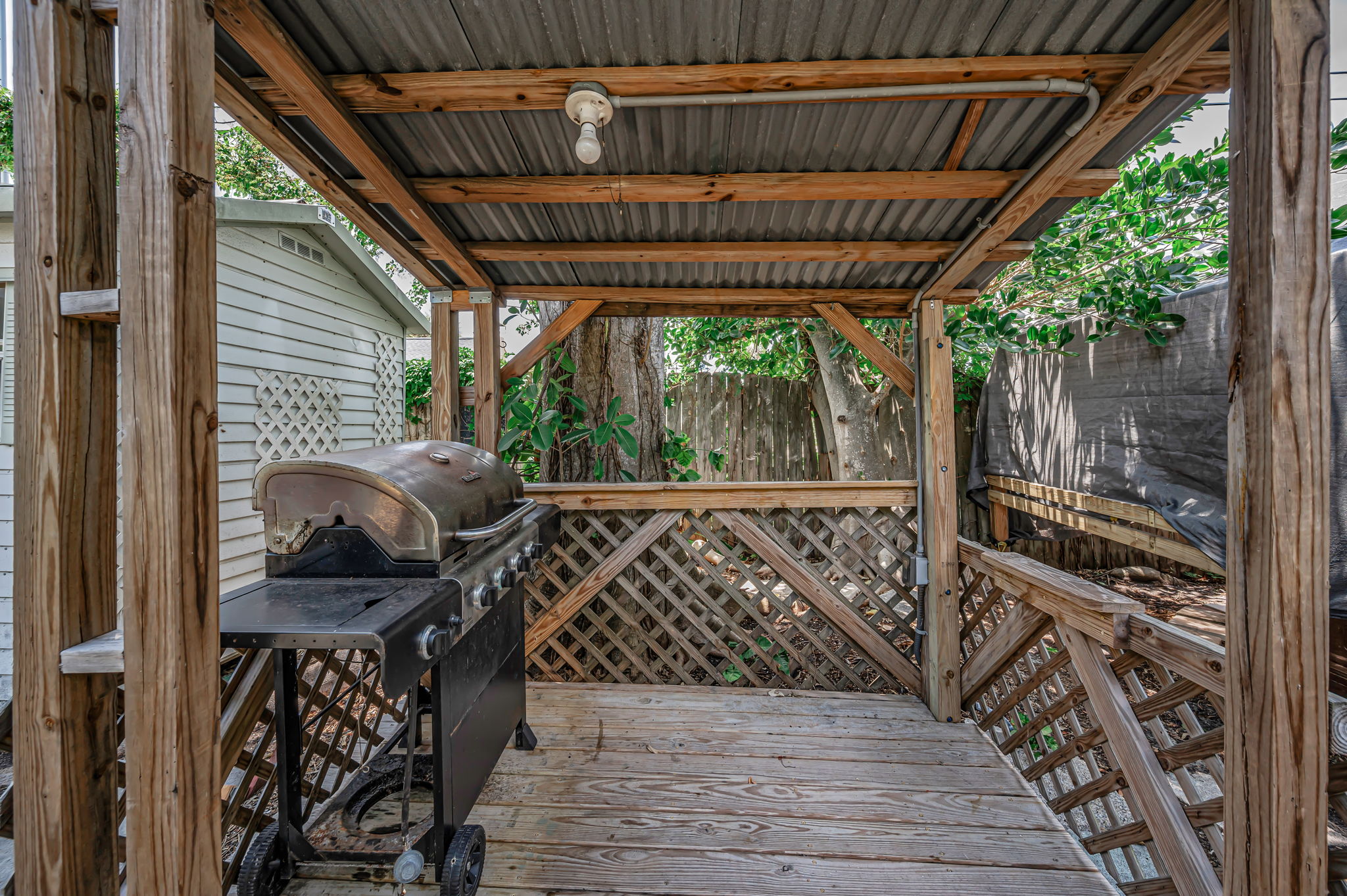 Backyard9