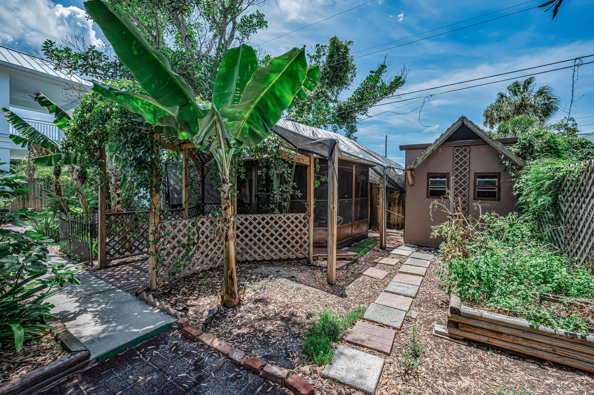 Backyard2
