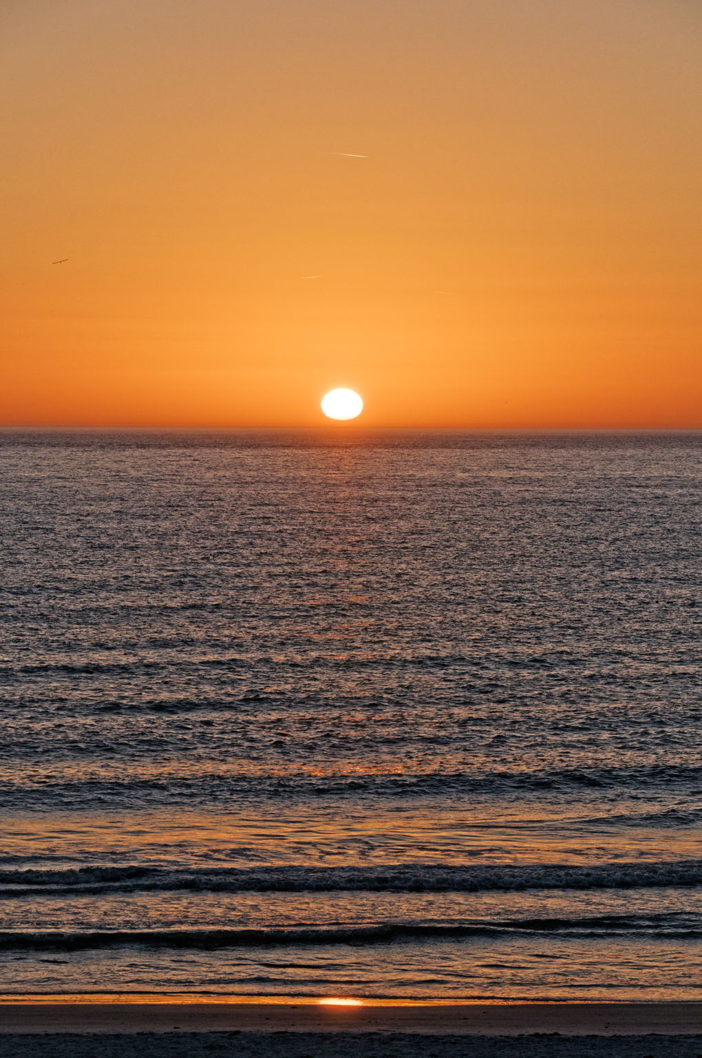 31-Sunset Clearwater Beach