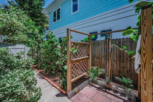 Backyard14