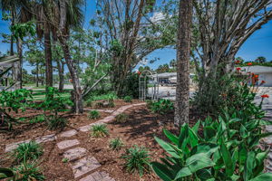 Frontyard2