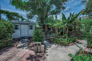 Backyard7