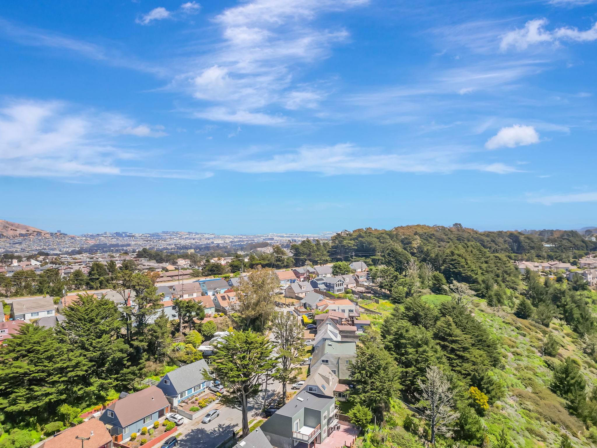 046_AERIAL_ 720 Lockhaven Dr