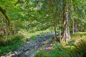 Ostrander Rd-S2307-080.jpg