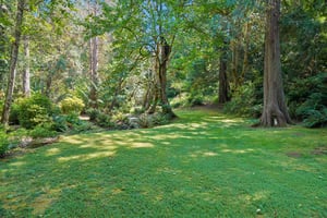 Ostrander Rd-S2307-106.jpg