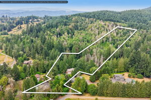 117-print-Ostrander Rd-S2307-115-Property_lines