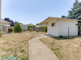  Photo 41