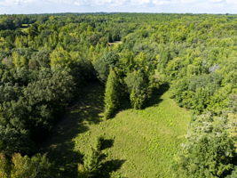  Photo 0